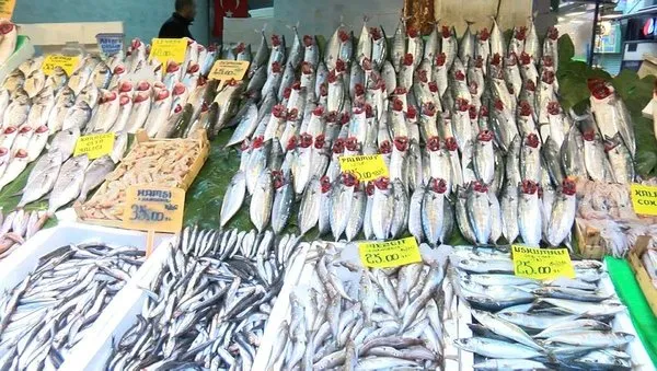 balik fiyatlari el yakiyor hamsi halde 15 tezgahta 35 restoranda 80 tl takvim