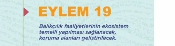 son-dakika-marmara-denizi-adeta-beton-oldu-musilaj-temizleme-seferberligine-unlu-isimler-de-katilacak-1623147717955.jpg