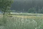 Küçükçekmece'de şüpheli ölüm! Günlerdir aranıyordu! Cansız bedeni bulundu