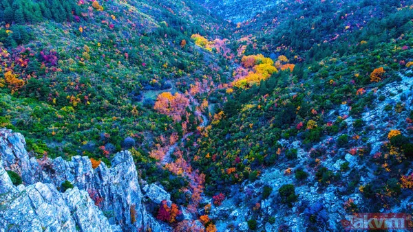 Manisa'da Spil Dağı Milli Parkı'nda muhteşem manzaralar - 6