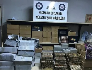Başkentte kaçakçılık operasyonu