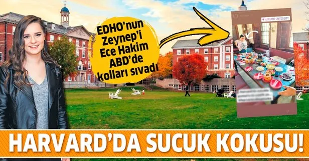 Edho Nun Zeynep I Ece Hakim Den Harvard Universitesi Nde Sucuklu Yumurta Takvim