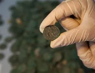 Tesadüfen bulundu ama paha biçilemiyor