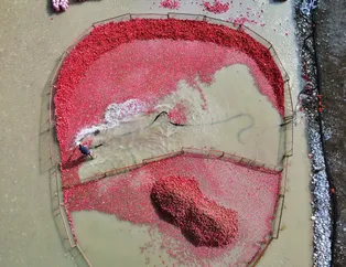 ekonomi galerileri ekonomi resim ve