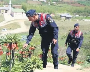 ’Van’ canına
