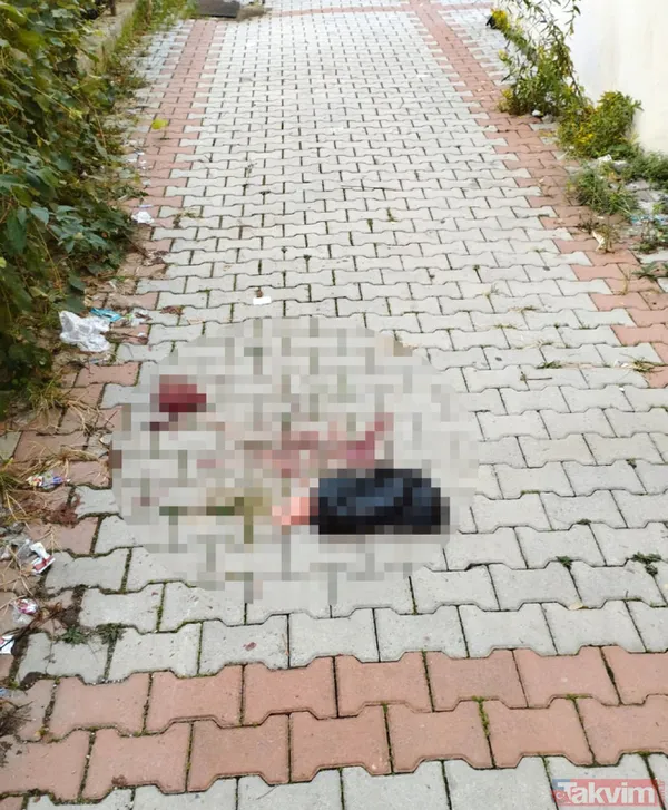 SON DAKİKA: Antalya'da kan donduran olay! Yeni doğmuş kız bebek poşete konulup balkondan aşağı atıldı - 2