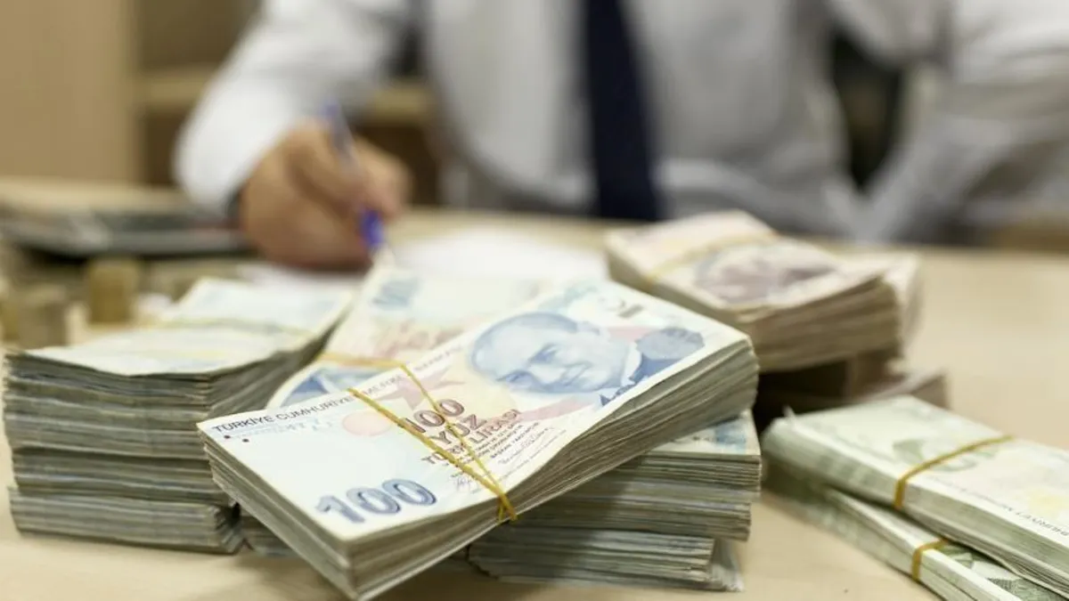 10 yıldır işlem görmeyen hesaplarda unutulan 507 milyon lira TMSF'ye aktarıldı!