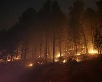 Son dakika: Çanakkale’de çıkan orman yangını ekipler tarafından kontrol altına alınmaya çalışılıyor