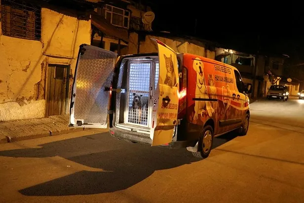 sivasta-pitbull-dehseti-polis-memuru-ve-gece-bekcisi-yaralandi-1631391521532.jpeg Sivas'ta pitbull dehşeti! Polis memuru ve gece bekçisi yaralandı-4