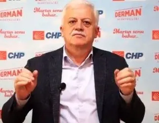 CHP’den doğa katliamı: Zeytinlik AVM olacak!