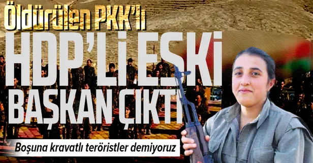 İşte HDP-PKK iş birliği! Öldürülen PKK'lı terörist eski HDP'li yönetici çıktı!