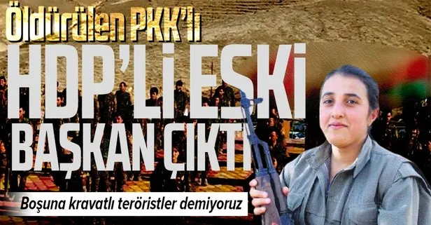 İşte HDP-PKK iş birliği! Öldürülen PKK’lı terörist eski HDP’li yönetici çıktı!