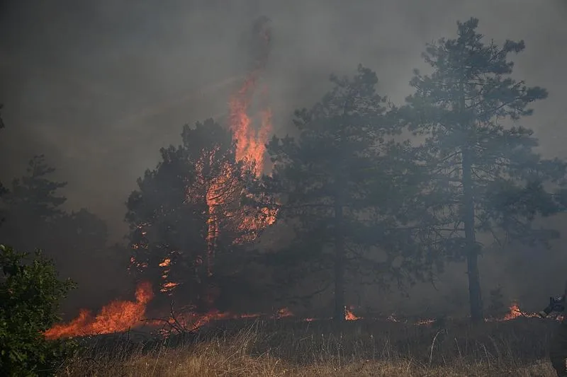 Bulgaristan Cumhurbaşkanı Rumen Radev'den Başkan Erdoğan'a özel teşekkür: Cesur Türklere şükranlarımı sunuyorum!-2