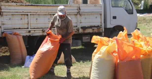 Senede yalnızca 45 gün çalışıyorlar! Saatte 3 bin 500 TL kazanıyorlar! Herkes bu işi yapmak istiyor