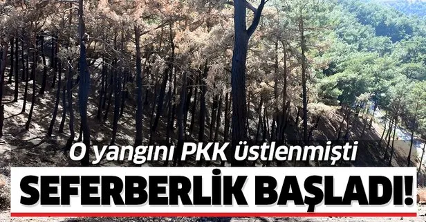İzmir'de PKK'nın yaktığı ormanlara ağaçlandırma seferberliği!
