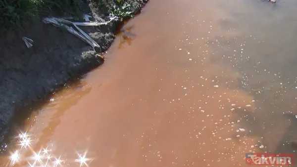 İstanbul'da Başakşehir'den Avcılar'a kadar turuncu akan dere tepki çekti - 13