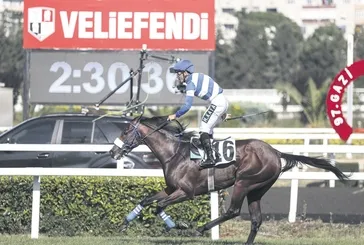 Sürpriz şampiyon Urfa Aslanı!