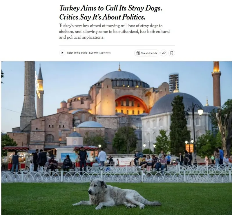 Batı basınından açık operasyon! Sokak hayvanları yasası bahane: Başkan Erdoğan’ı hedef alıp boykot çağrısı yaptılar-3