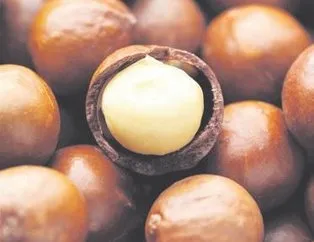 Hamileler fındık yesin