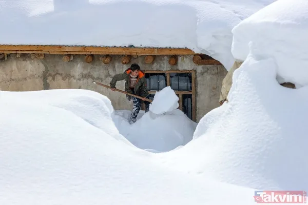Kar kalınlığı 2 metreyi aştı! Van'ın köylerinde 'beyaz esaret' yaşanıyor - 5