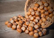 5 Mart 2021: Fındık fiyatları ne kadar oldu? 5 Mart il il fındık fiyatları listesi! Ordu, Giresun, Trabzon, Zonguldak...