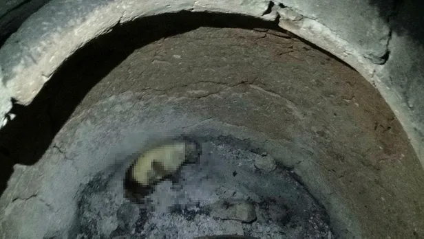 bu-nasil-insanlik-tandirda-yanmis-kopek-yavrusu-bulundu-1571775553638.jpg Bu nasıl insanlık? Tandırda yanmış köpek yavrusu bulundu-1