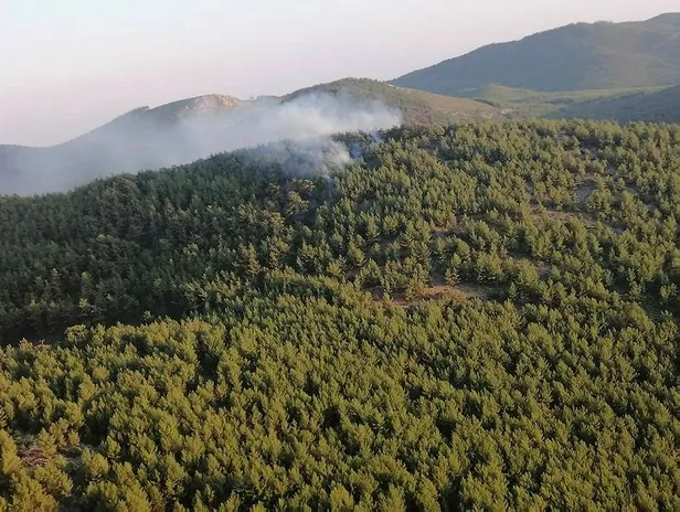 Muğla'da korkutan orman yangını-1