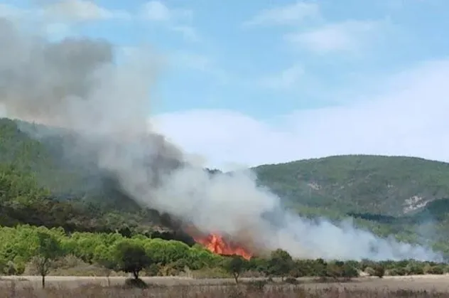 Son dakika: Çanakkale'de orman yangını