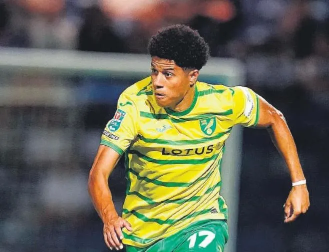 Gabriel Sara hamlesi!