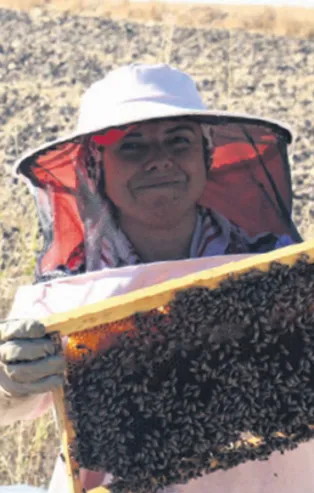 Arıcılık sektörüne 4 kovanla başladı 60’a ulaştı!