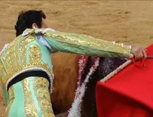 Boğa, Matadoru Rezil Etti