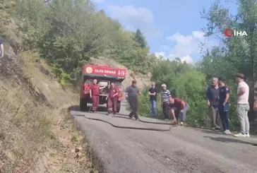 Bartın'da orman yangını!