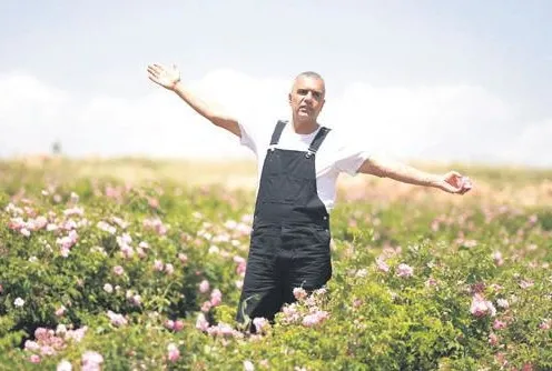 Berdan gül gibi kazanıyor