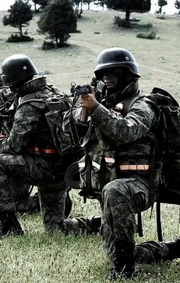 Hakkari'de 320 terörist öldürüldü