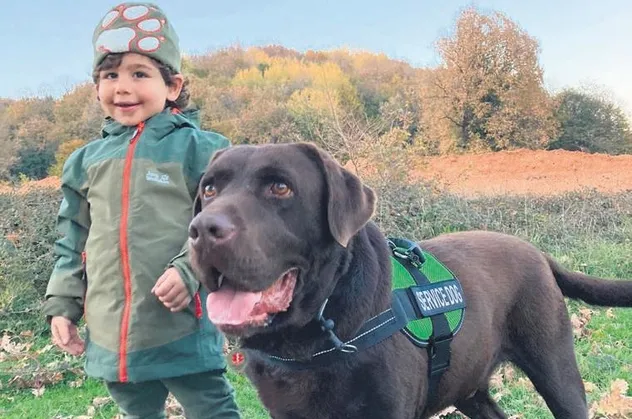 Ölümden dönen minik Ata'yı terapi köpeği Mocha hayata döndürdü