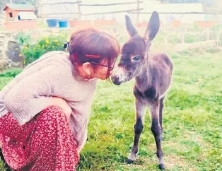 Minik Serçe’nin dev yüreği