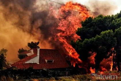 Yunanistan’daki yangın felaketinde dehşete düşüren kareler