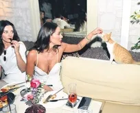 Seda Canbolat yemek isteyen kediyi elleriyle böyle besledi!