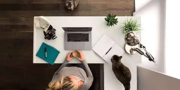 Siber risk endişesi: Uzaktan çalışanların yüzde 65'i güvende hissetmiyor:-3