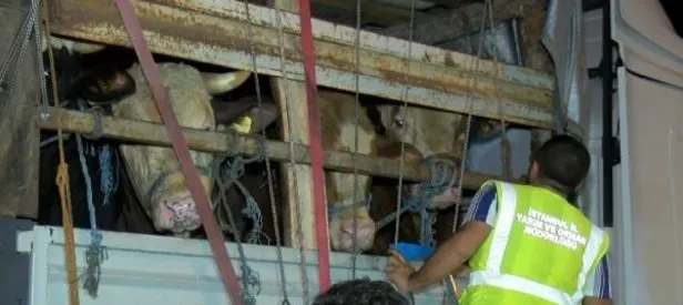 Ekipler tek tek kontrol etti! İstanbul’a girdiler