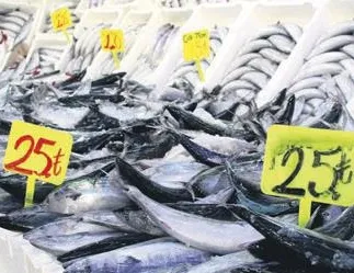 20 TL’ye sardalya 25 TL’ye palamut