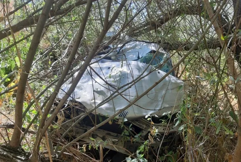 Navigasyon faciaya neden oldu