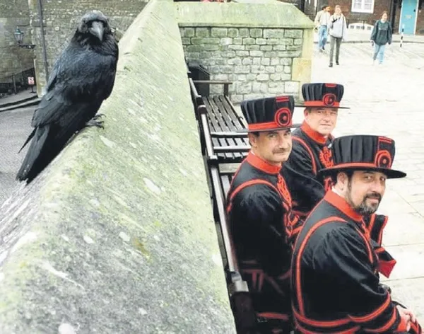 Hep aynı numara! Simitçi kılığındaki kişi bayılma numarası yaptı (Güncel haberler)-6