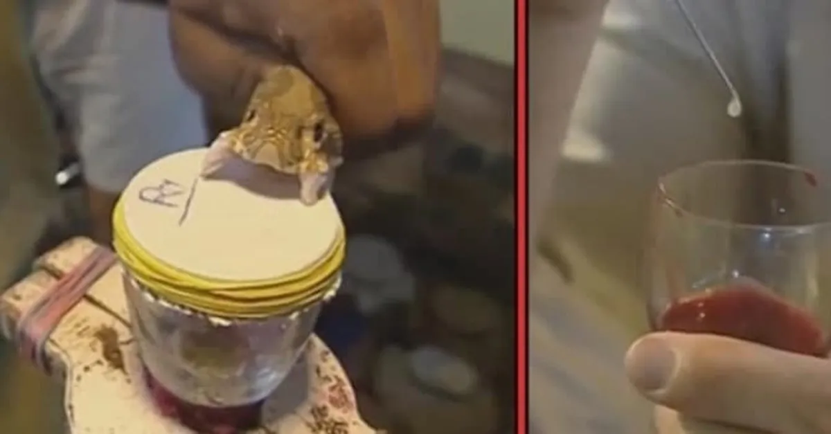 kobra zehri insan kanina