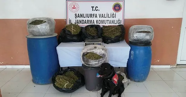 Sanliurfa Da Uyusturucu Cetesine 4 Tutuklama Takvim
