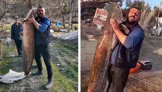 Yapraklı Baraj Gölü'nde 47 kiloluk yayın balığı yakalandı