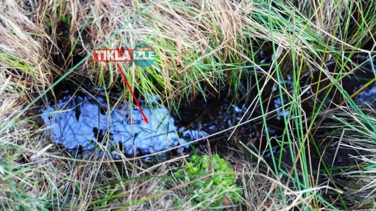 Sivas Karacaören Köyü'nde umutlandıran petrol gelişmesi!