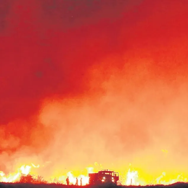 Beni bırak kendini kurtar