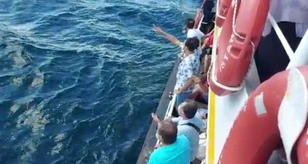 adalar-vapurunda-feci-olum-denize-dusen-60-yaslarindaki-adam-hayatini-kaybetti-o-anlar-kamerada-1630850957867.jpg