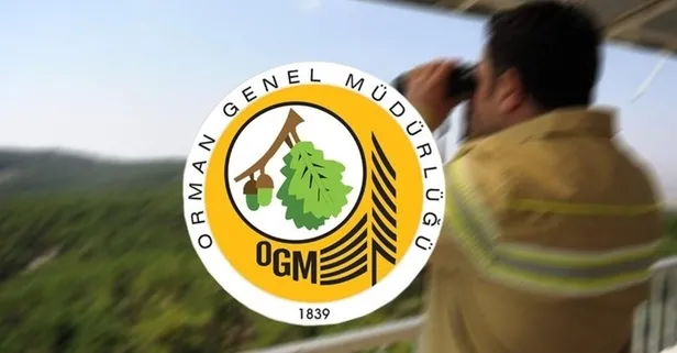 Orman Genel Müdürlüğü geçici ve daimi işçi alımı yapacak